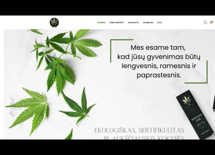 Virusš valymas internetineje svetainėje