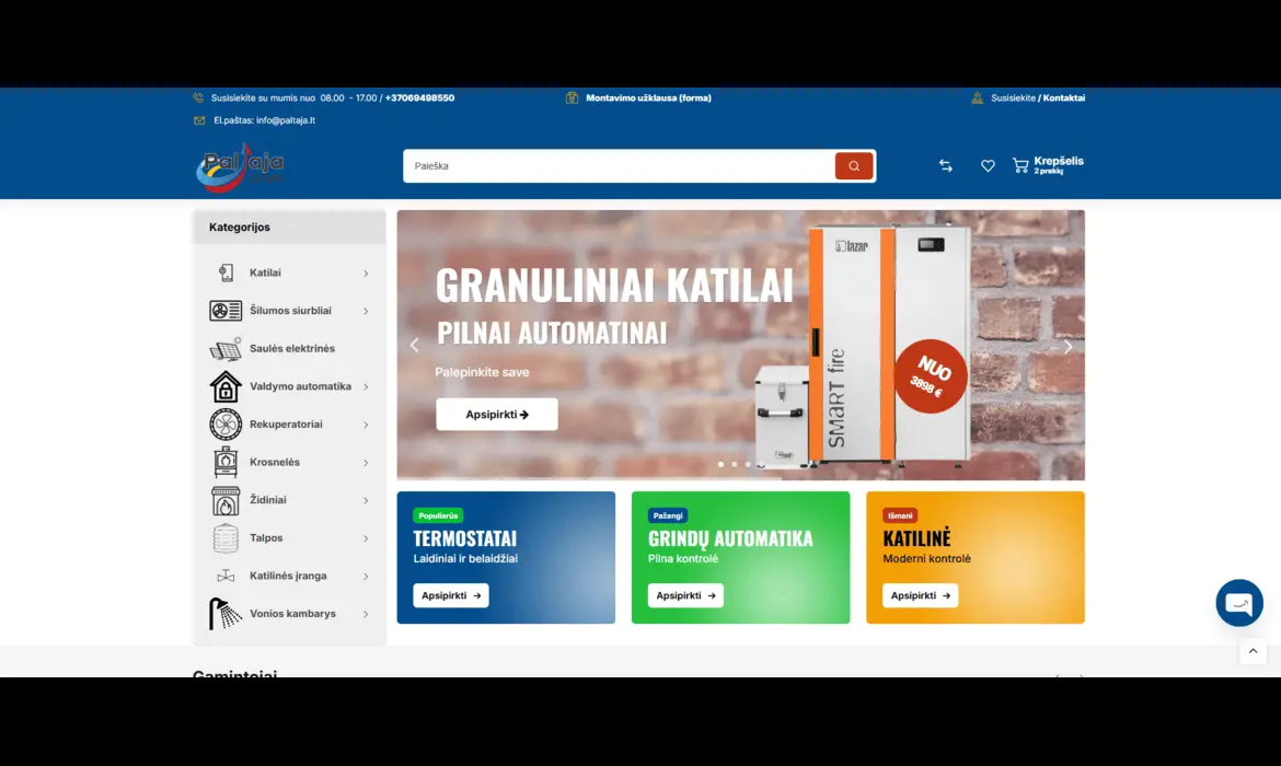 WordPress svetainiu koregavimas, seo auditas